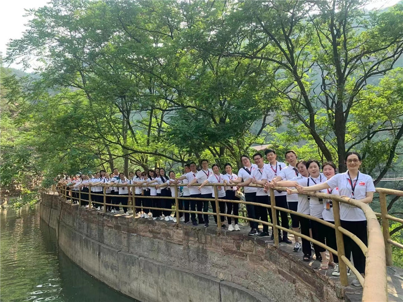 9d8ea19243e3fc979ade9d44b702986